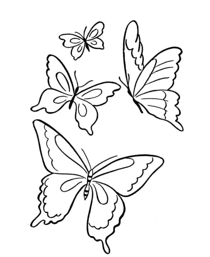 Раскраски бабочек для детей, 100 штук - Распечатайте бесплатно!