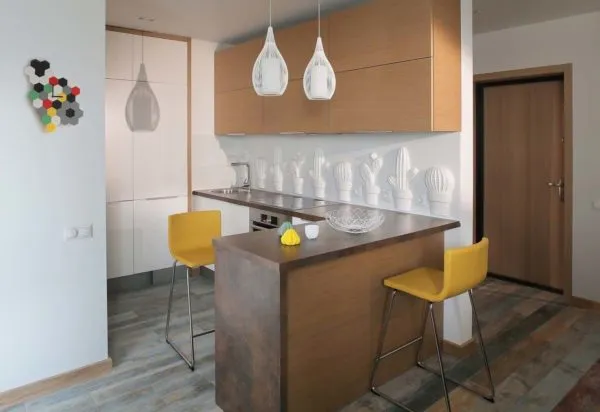 Дизайн кухни - студии с барной стойкой: идеи для организации интерьера
