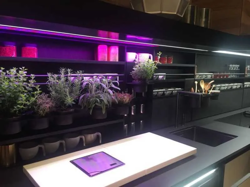 Фиолетовая кухня - варианты идеально сочетания кухни фиолетового оттенка. 125 фото готового дизайна кухни